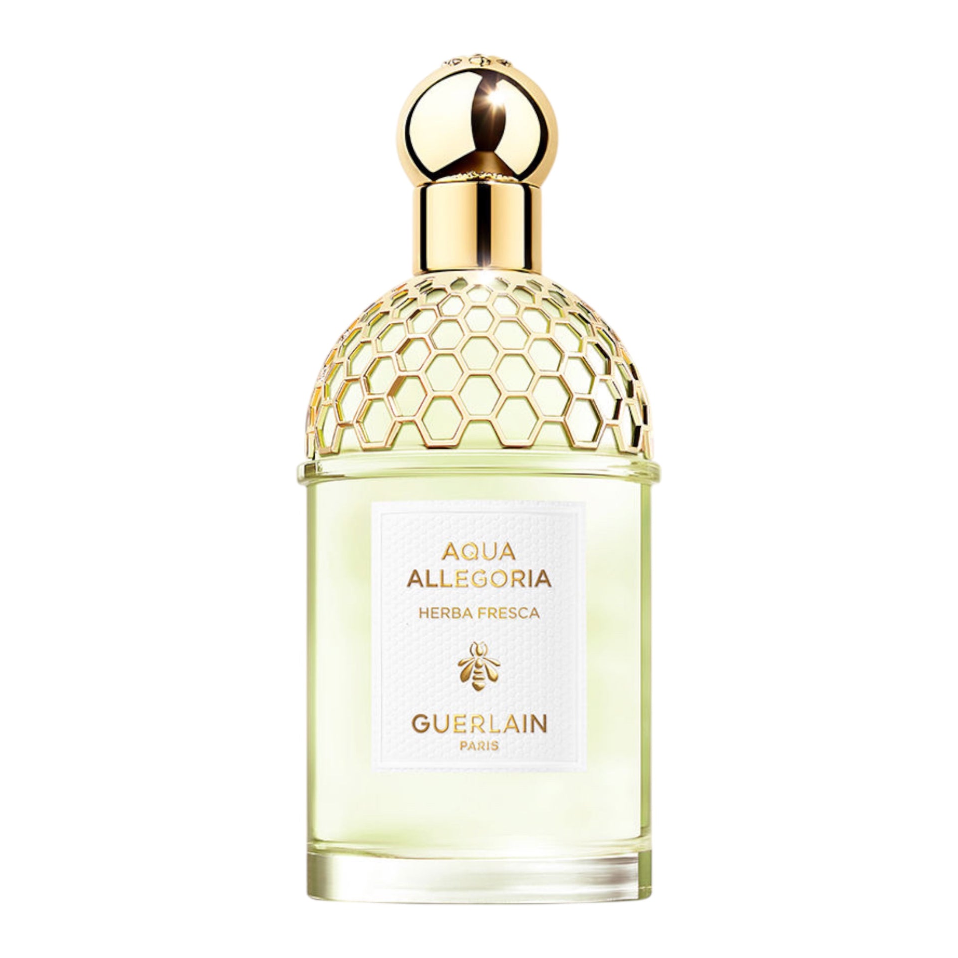 Guerlain aqua Allegoria Herba Fresca Samples